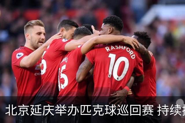 北京延庆举办匹克球巡回赛 持续擦亮户外运动城市名片
